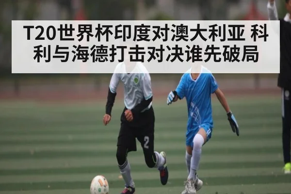 T20世界杯印度对澳大利亚 科利与海德打击对决谁先破局