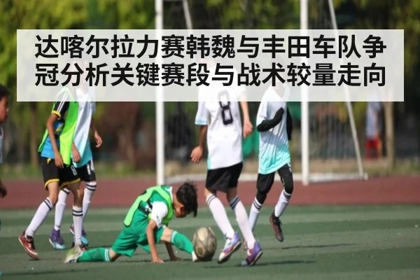 达喀尔拉力赛韩魏与丰田车队争冠分析关键赛段与战术较量走向